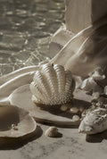 APHRODITE