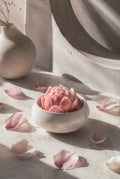 I AM REBORN Lotus